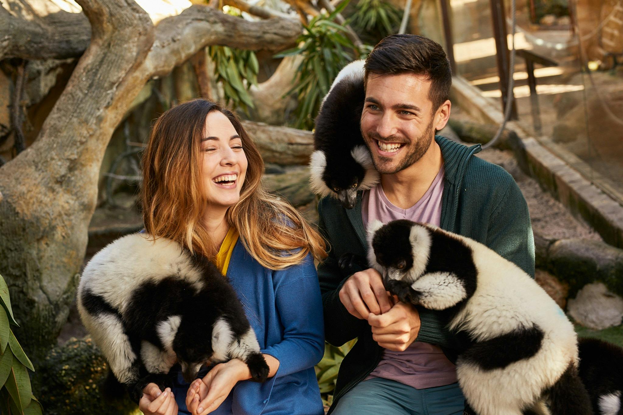 Una donna e un uomo sorridenti interagiscono con dei lemuri in bianco e nero in un ambiente al coperto che riproduce la natura, con alberi e vegetazione.