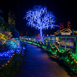 Victoria: Christmas Day Tour with Butchart Gardens from Vancouver 3