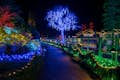 Exhibición de luces navideñas en los mundialmente conocidos Jardines Butchart