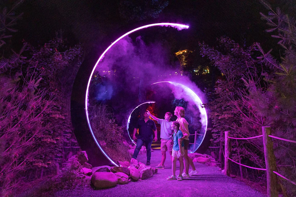 People walk through illuminated circular arches with purple lighting at night, surrounded by trees and foliage.