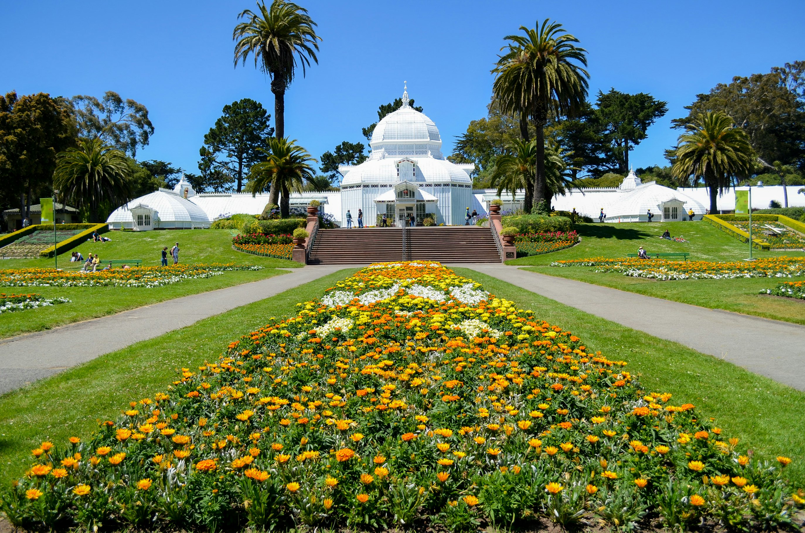 Things to do near Golden Gate Park