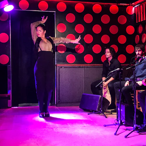 Barcelona: Visita guiada ao Bairro Gótico + Show de Flamenco - Photo 2