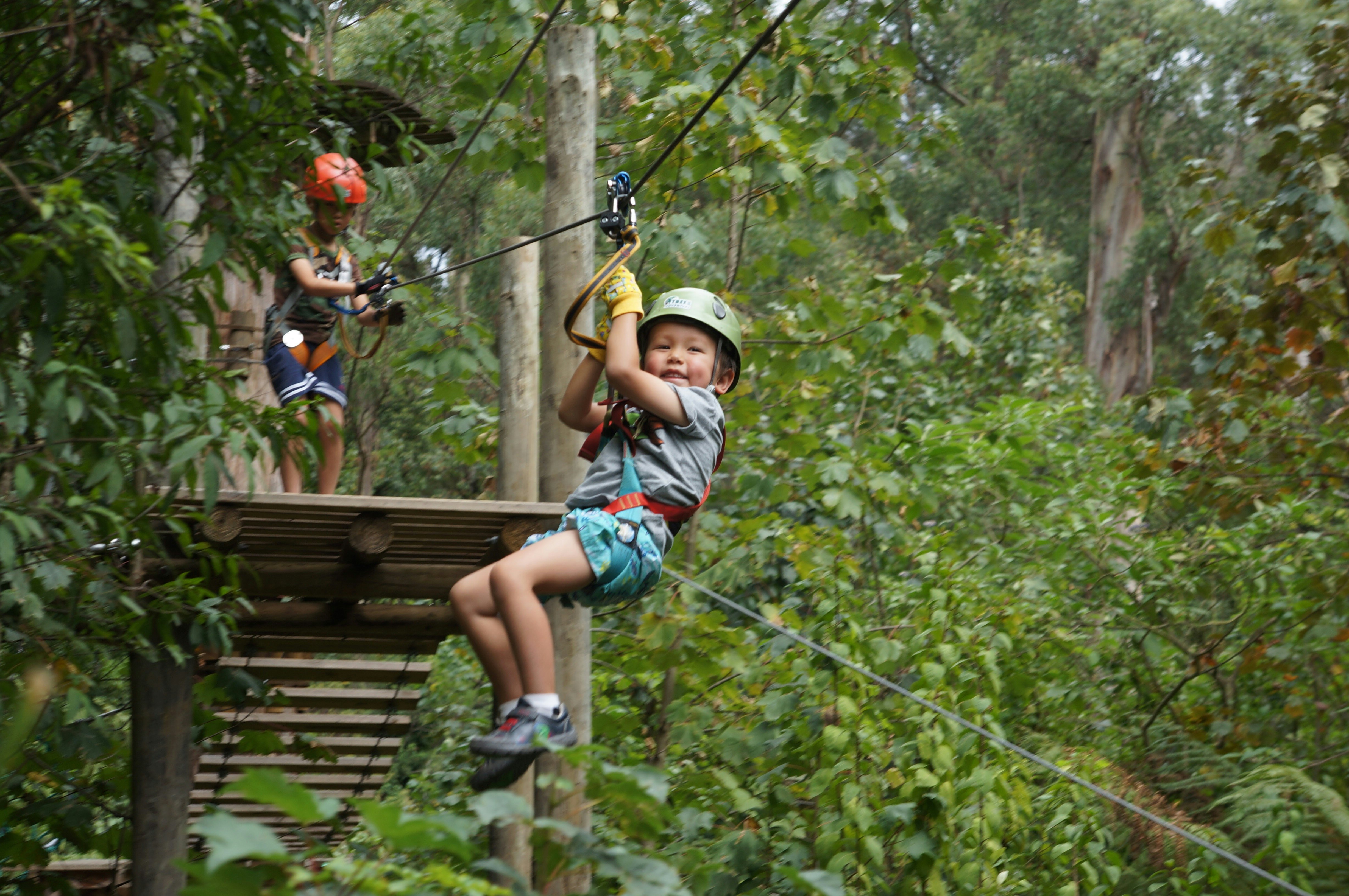 Treerops Treetops Adventure Belgrave | Book Tickets, Tours & More