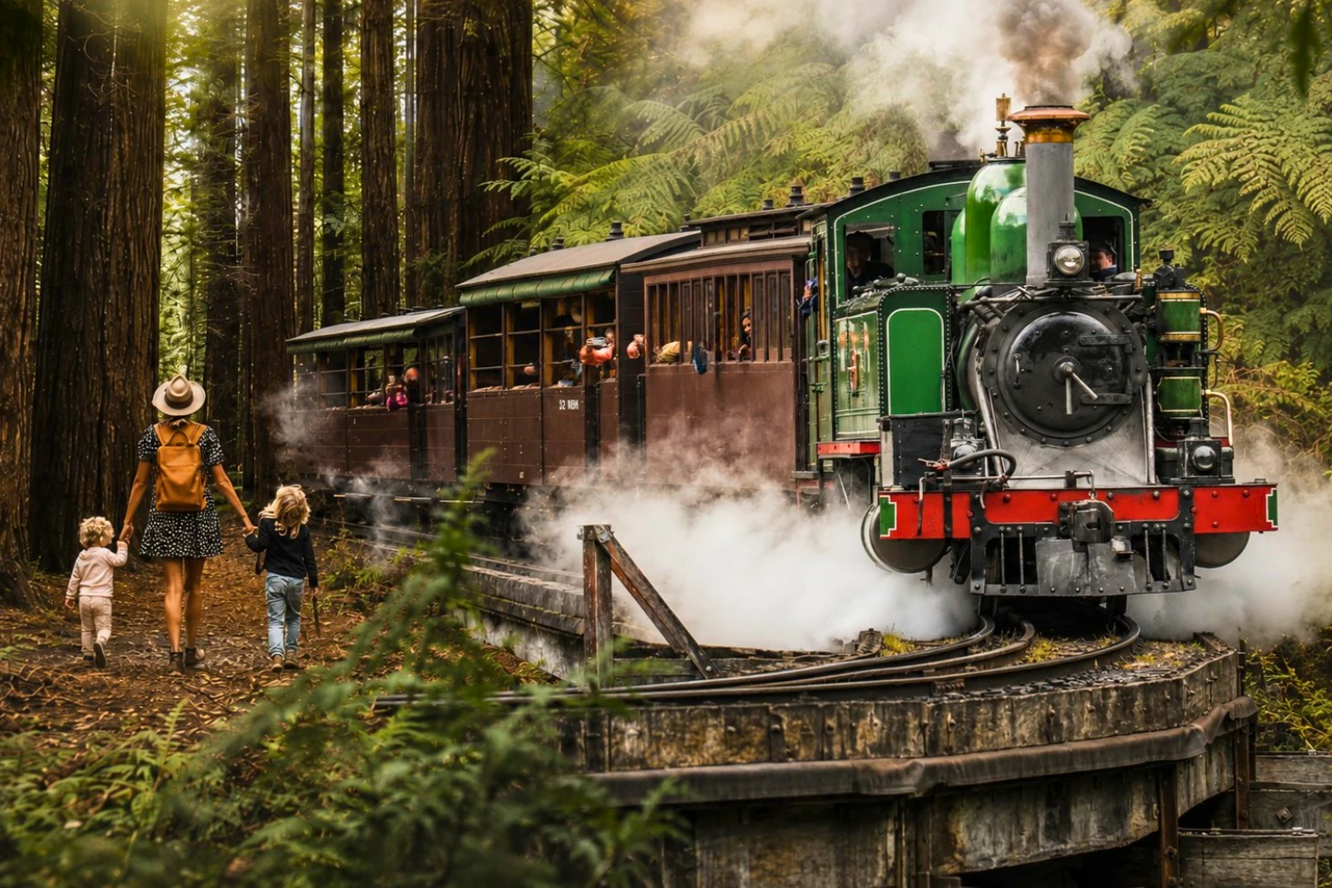 Warburton & Cement Creek Redwood Forest: Tour from Melbourne + Puffing Billy