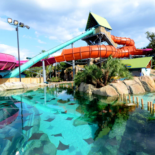 Aquatica San Antonio: Fast Track Ticket