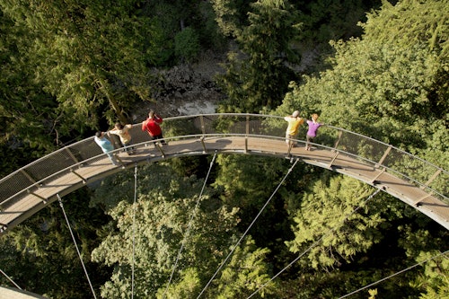 Grouse Mountain & Capilano Suspension Bridge Park: Guided Tour