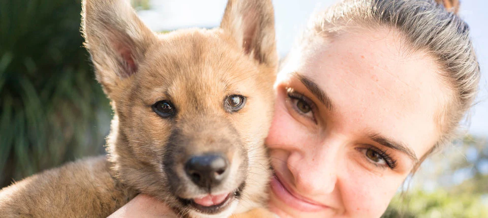 Close-up of a smiling person and a puppy with brown fur and pointed ears pressed cheek to cheek.