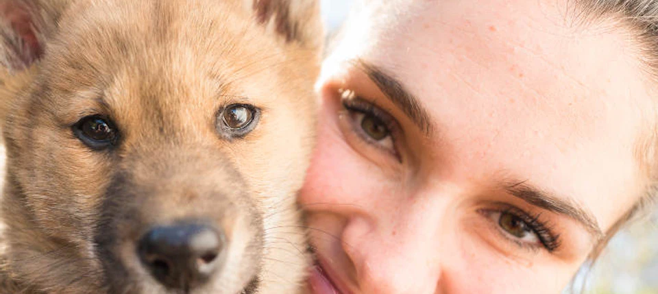 Close-up of a smiling person and a puppy with brown fur and pointed ears pressed cheek to cheek.