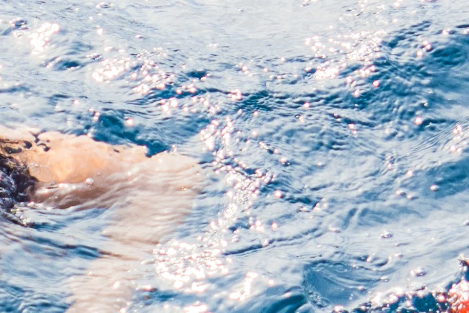 swimming