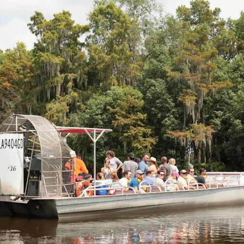 New Orleans: Swamps & Bayous Guided Pontoon Boat Tour + Optional Transfers
