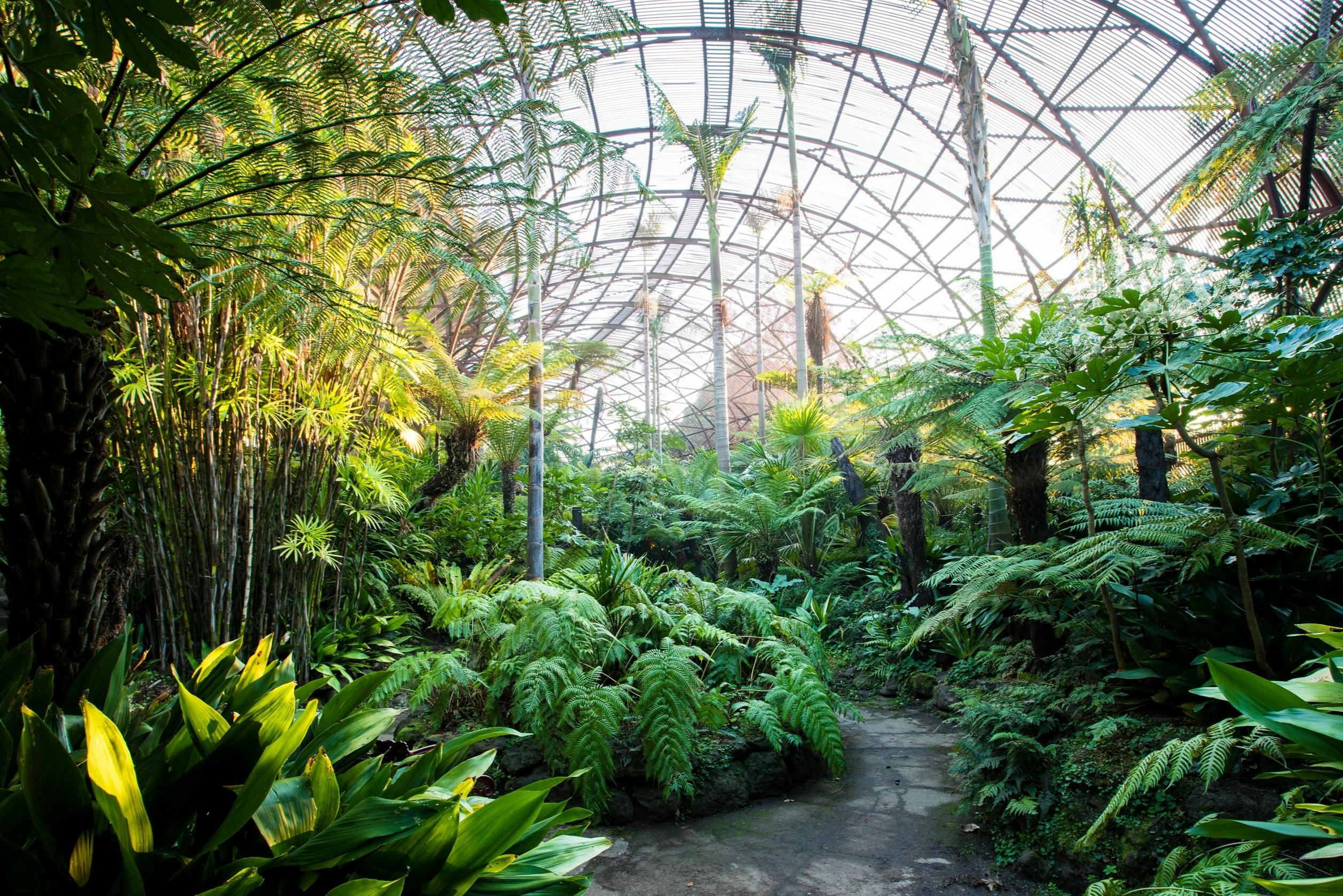 リッポンリーエステートフェルナリー