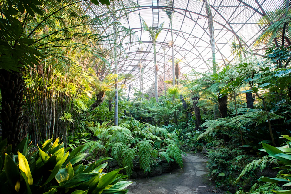 Rippon Lea Estate Fernery