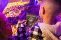 Dino Safari: A Walk-Through Adventure at Horseshoe Las Vegas