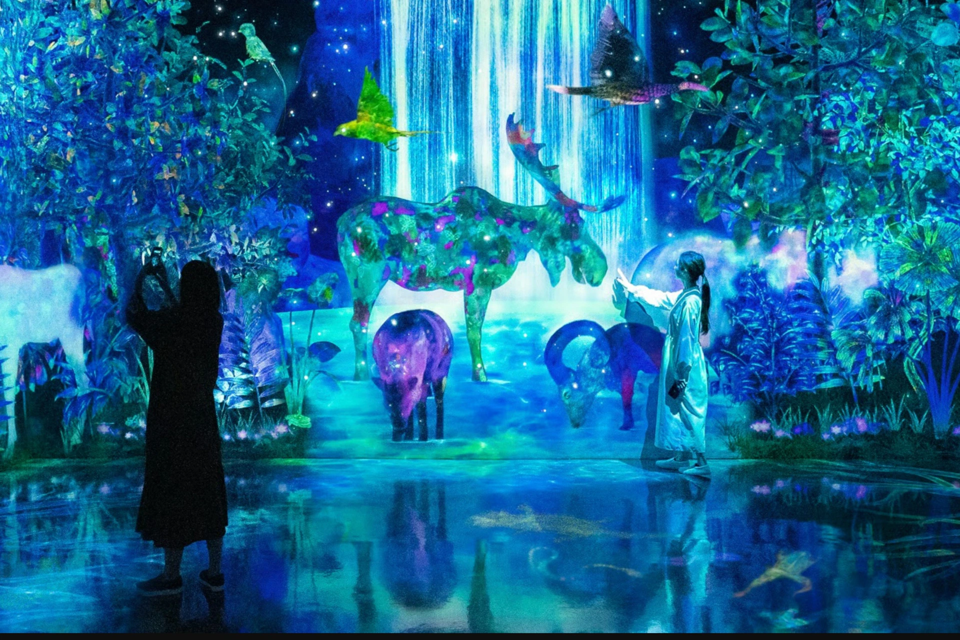 Two people stand in an illuminated, colorful scene featuring animals, trees, and a waterfall under a starry sky.