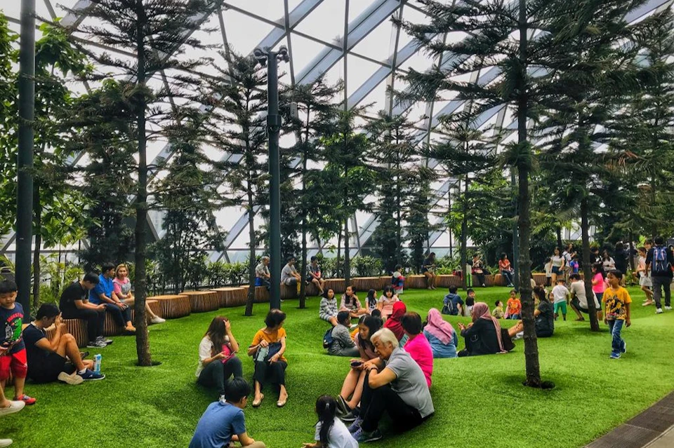 Canopy Park