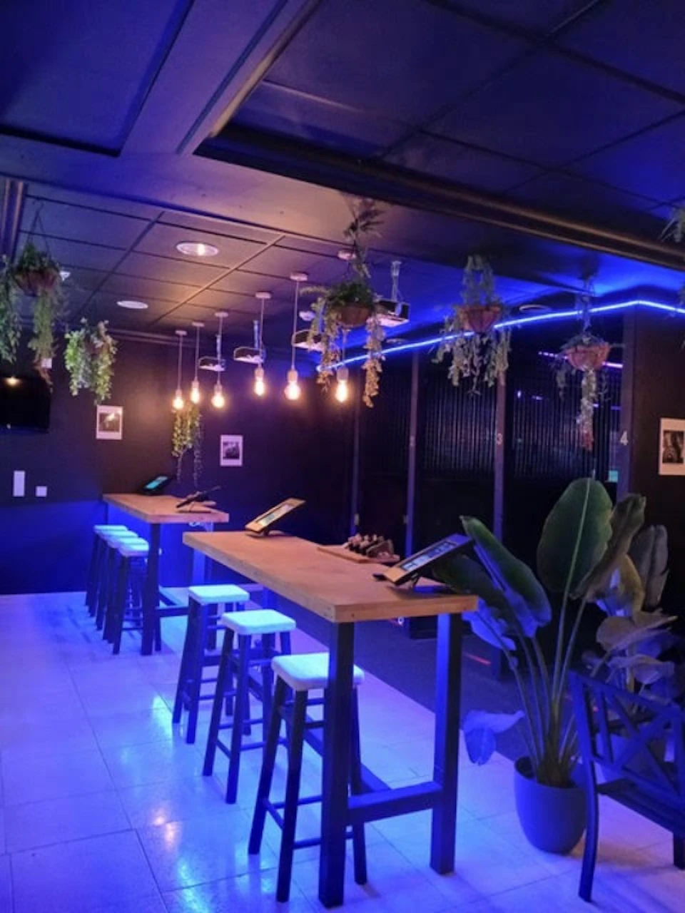 Modern lounge with high tables, stools, hanging plants, and ambient blue lighting. Ceiling bulbs provide a warm glow.