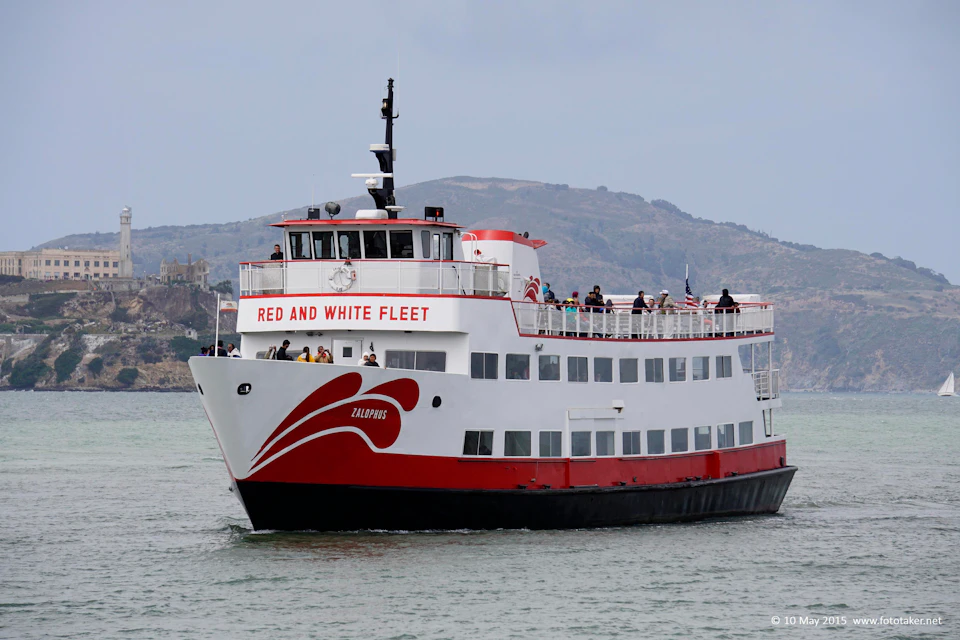 A red and white tour boat named "Zalophus" with passengers aboard, sailing on calm water with hills in the background.