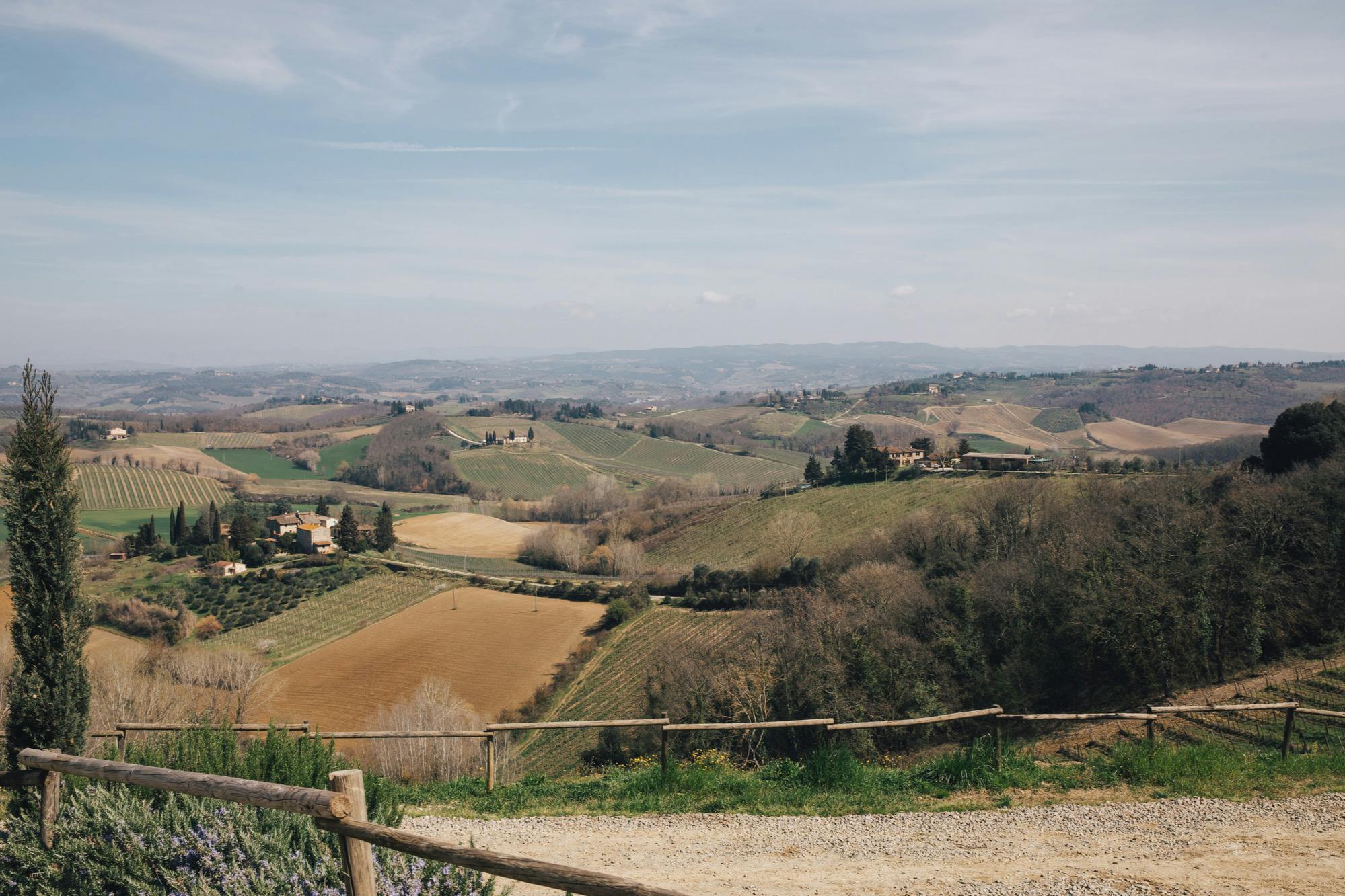 Pisa, Siena, San Gimignano & Chianti: Full-Day Tour from Florence 5