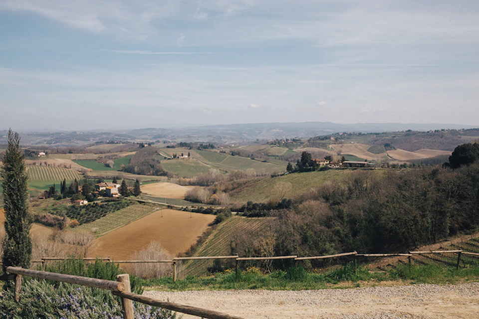 Tuscany Experience Transfer Only