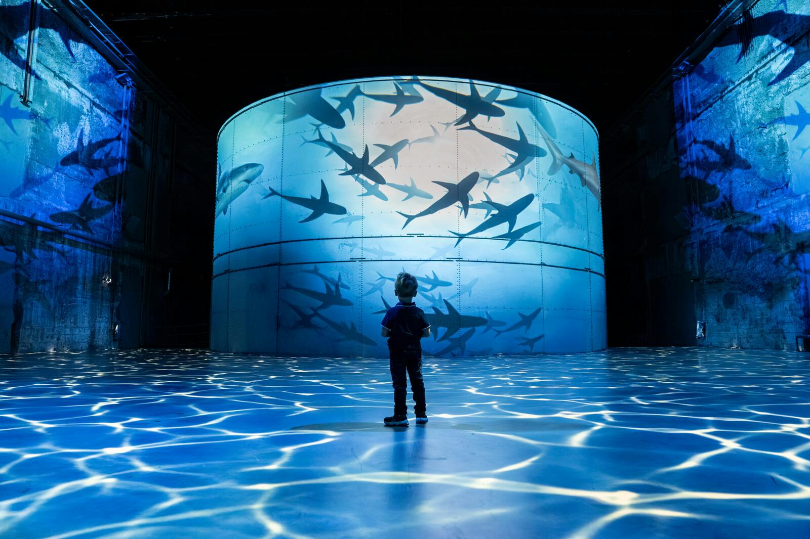 Bacias hidrográficas de Lumières: Exposição sobre o Oceano - Photo 7