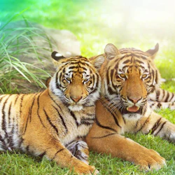 Dreamworld, SkyPoint & WhiteWater World: 2-Day Pass 5