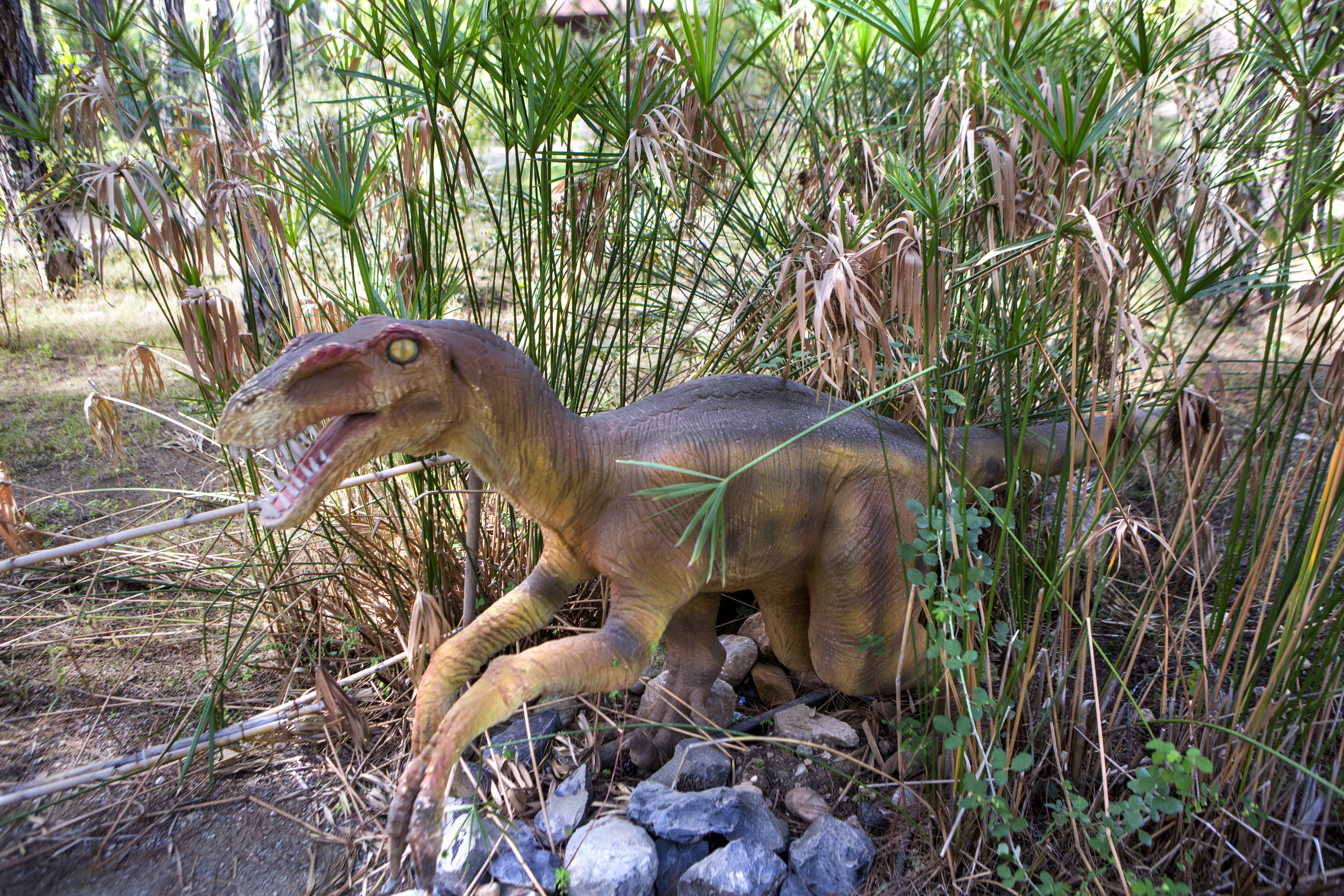 Dinopark Antalya: Entry Ticket