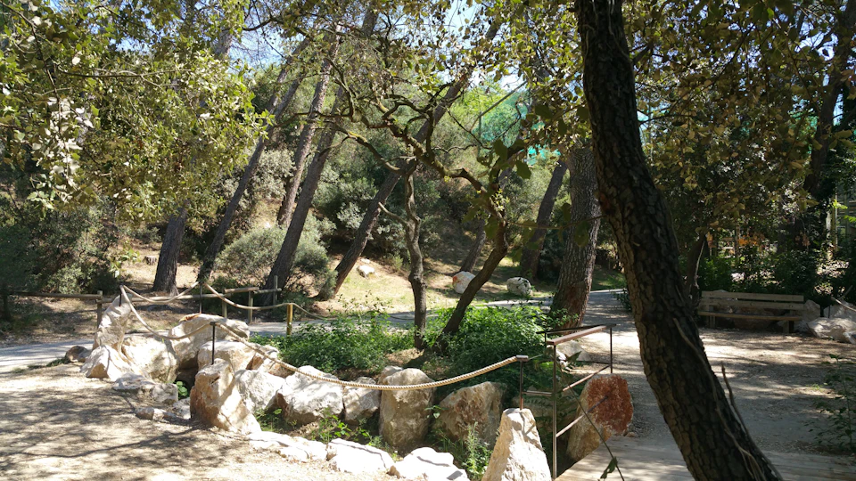 A park scene with trees, shrubs, large rocks, and a pathway bordered by a rope railing. Sunlight filters through the foliage.