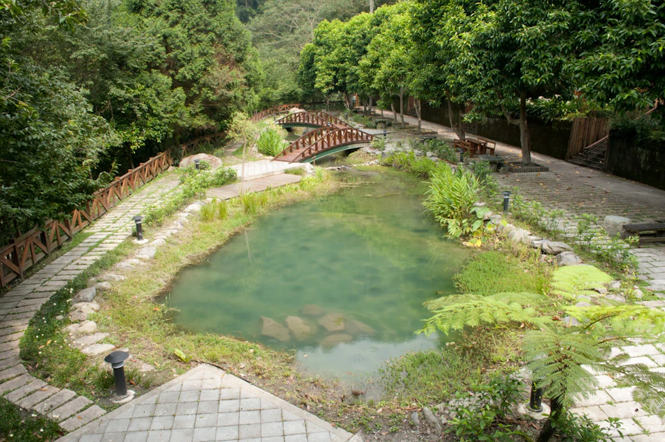 A small pond surrounded by greenery and pathways, with wooden bridges crossing over streams in a park setting.