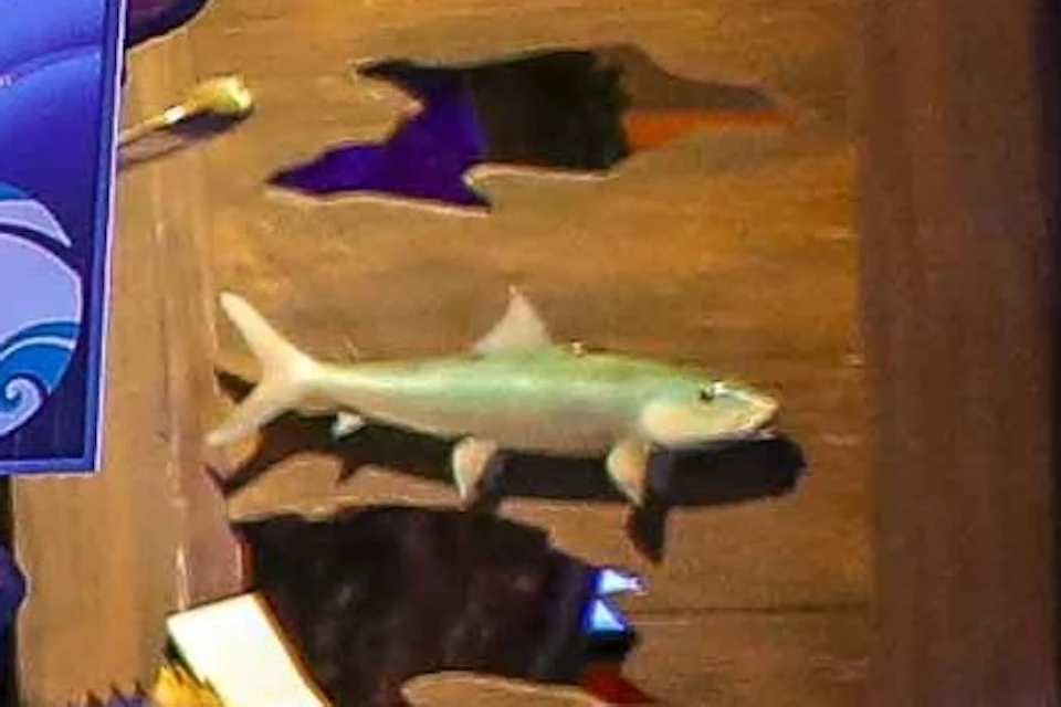 The Buckhorn Museum