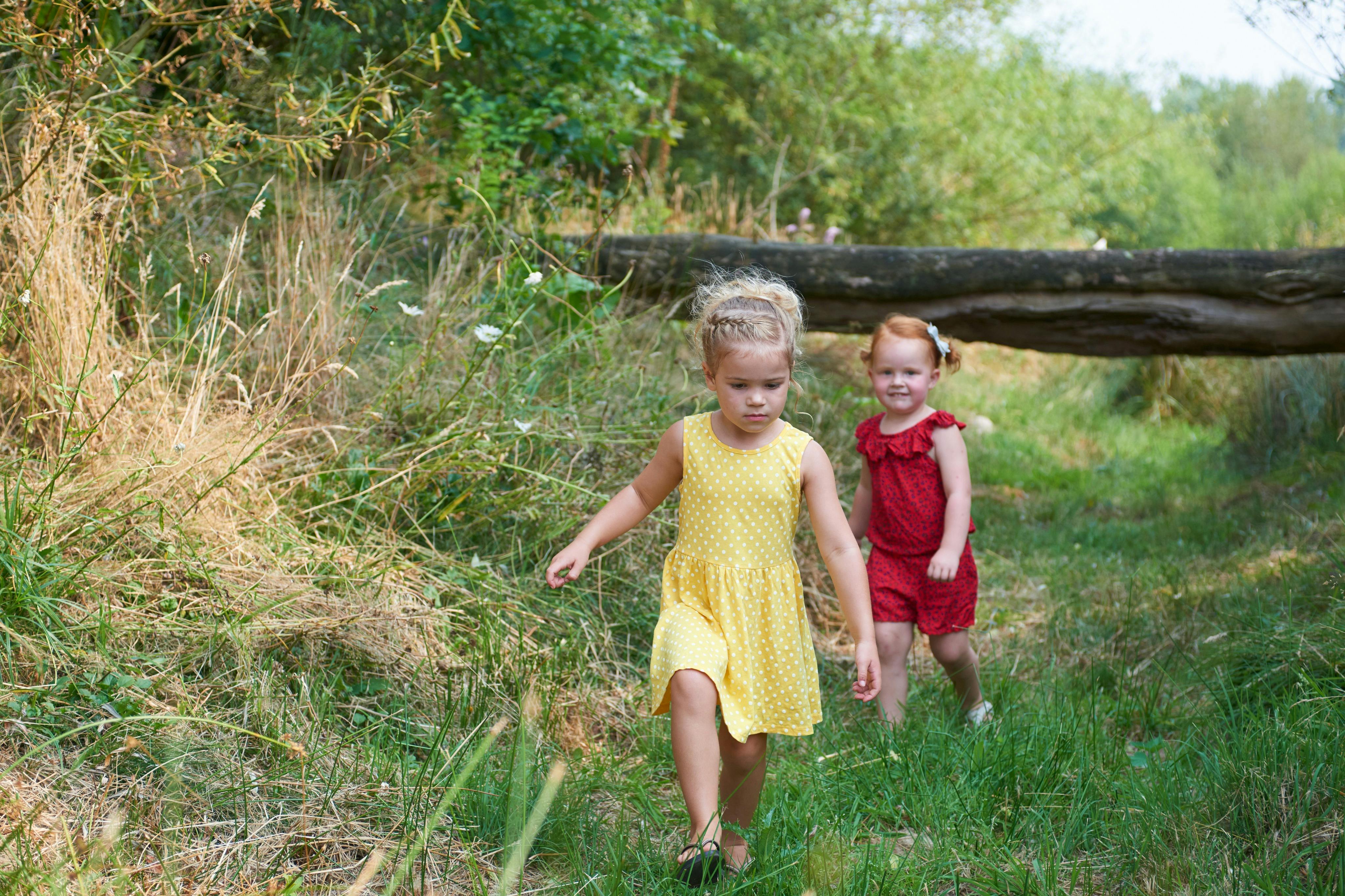 游乐场、儿童、自然