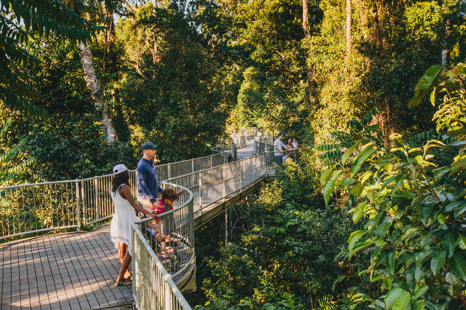 Mamu Tropical Skywalk: Entry Ticket