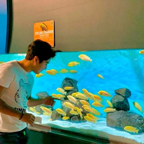 Michin Aquarium Puebla: Entry Ticket
