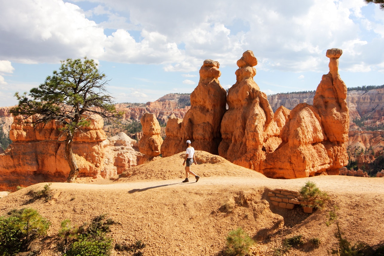 From Las Vegas: Bryce Canyon & Zion National Parks Day Tour with Lunch - Accommodations in Las Vegas