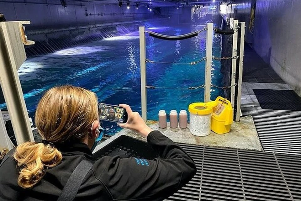 Aquarium Of the Bay