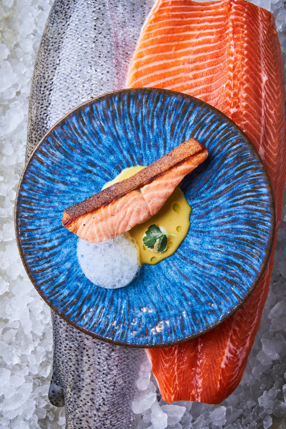 A seared salmon fillet on a blue plate with foam, sauce, and garnish, placed over ice and a salmon fillet background.