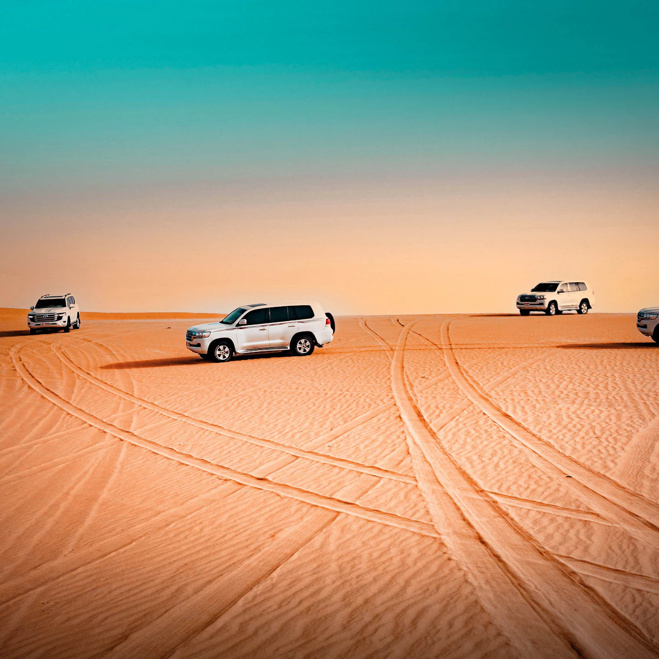 Abu Dhabi: Evening Desert Safari Tour + Dinner 3
