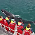 赤いサーマルオーバーソールを着たホエールウォッチャーは、近くにいるザトウクジラを見ています。