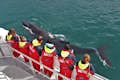 Walvisspotters in rode thermische overalls bekijken een bultrug van heel dichtbij.