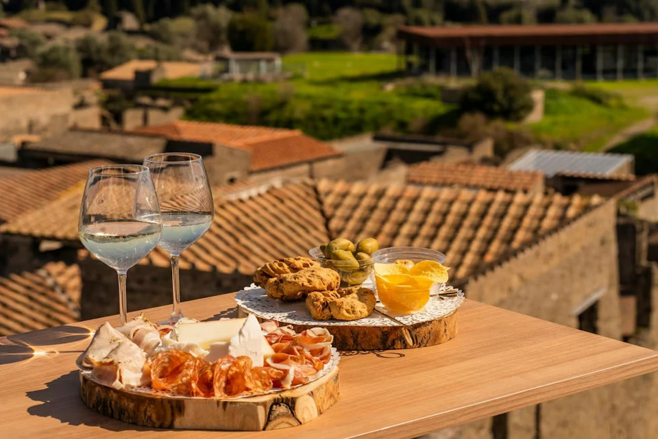 A table with charcuterie, bread, olives, and drinks, overlooking a scenic view of tiled rooftops and greenery.