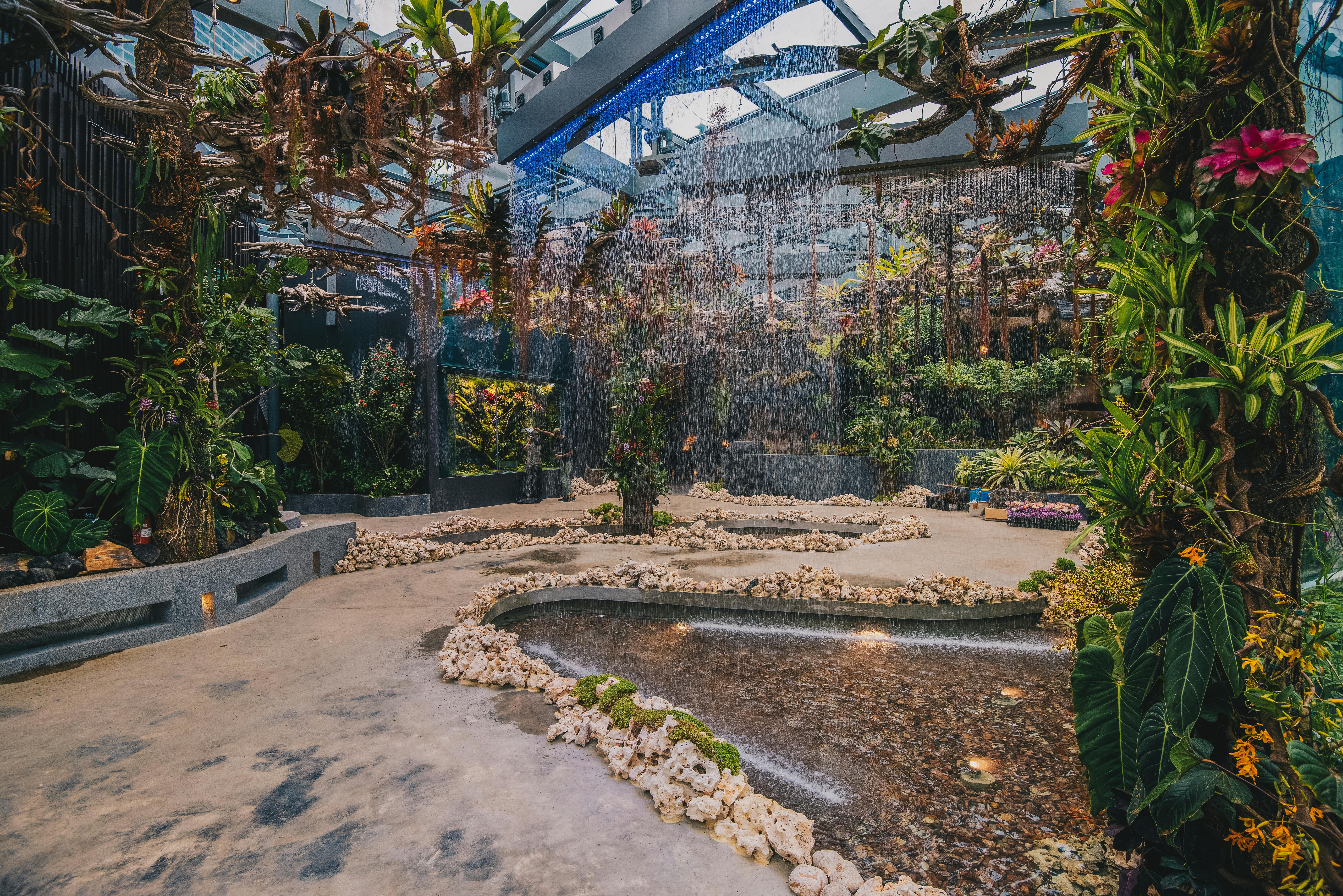 Indoor garden with overhead water feature, tropical plants, and stone-bordered ponds on a concrete floor.