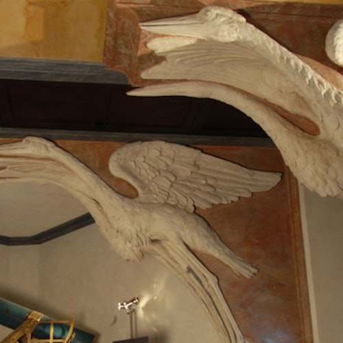 Museo de La Specola