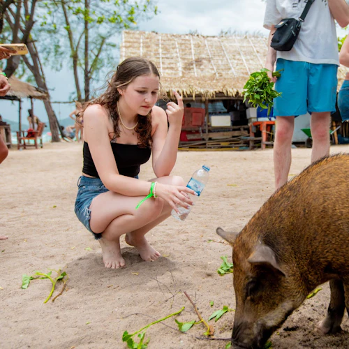 Tan & Pig Islands: Guided Speedboat Tour from Koh Samui + Pink Dolphin Spotting - Photo 7