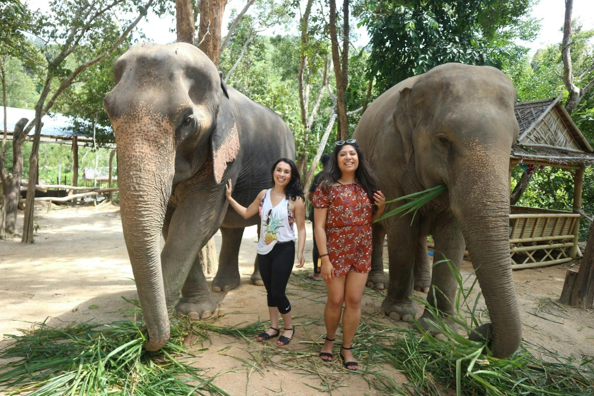 두 여성이 두 마리 코끼리 사이에 서서 미소를 짓고 있습니다. 녹음이 우거진 야외 공간입니다.