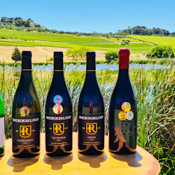 Paarl, Franschhoek, Stellenbosch Region Explorer Wine Tour