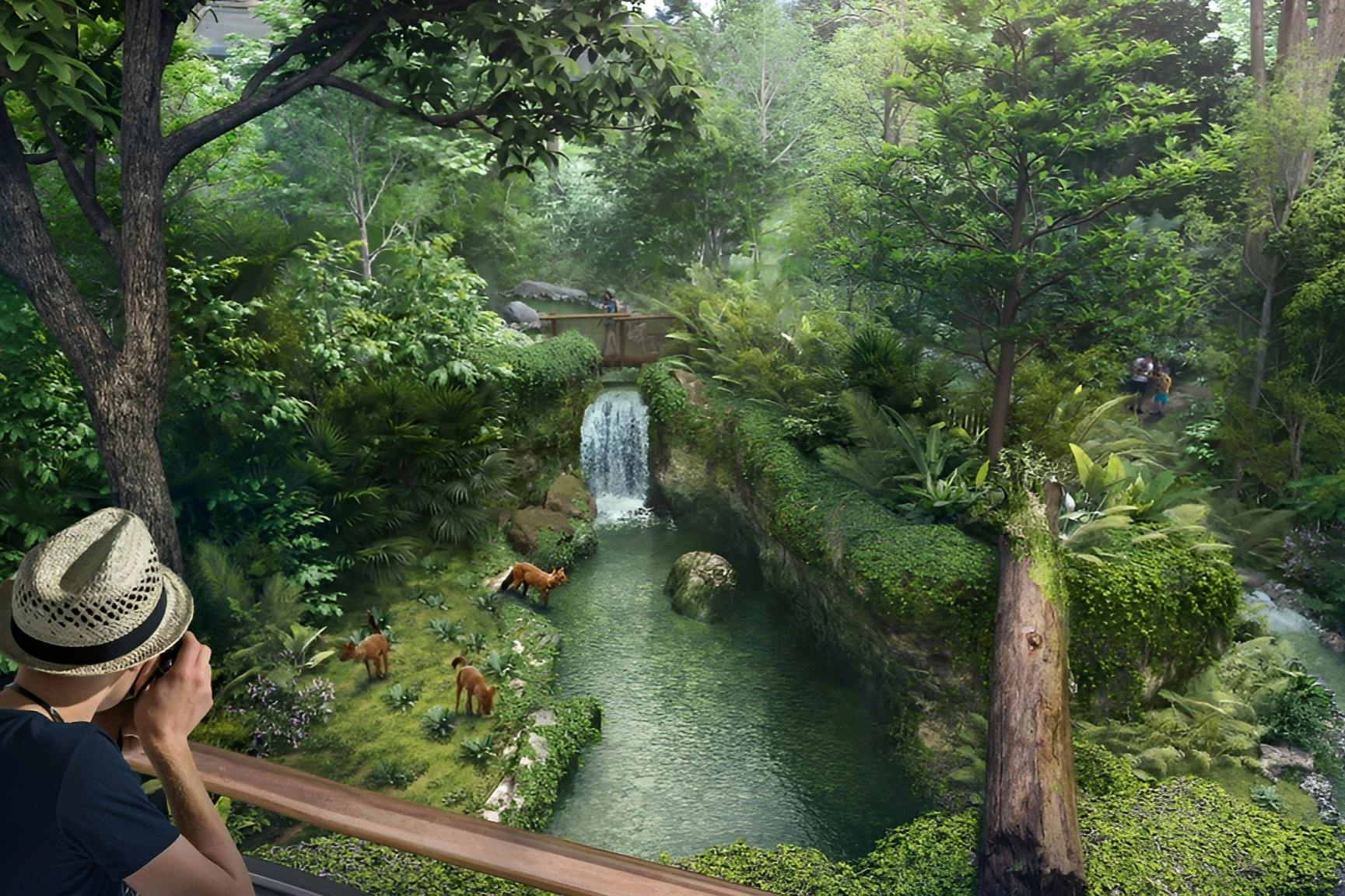 Selva tropical Àsia salvatge