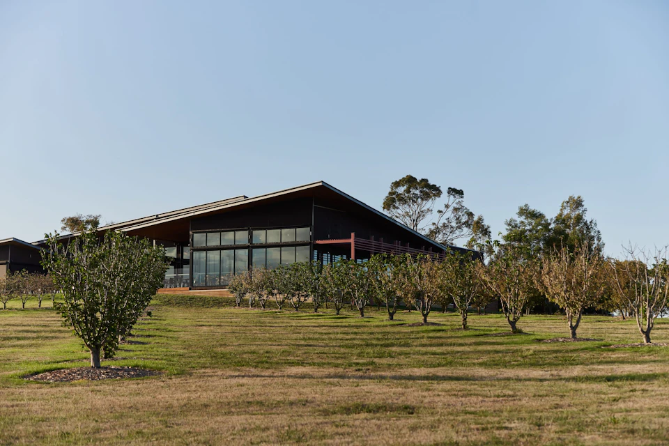 A modern building with large glass windows surrounded by small trees on a grassy field, under a clear blue sky.