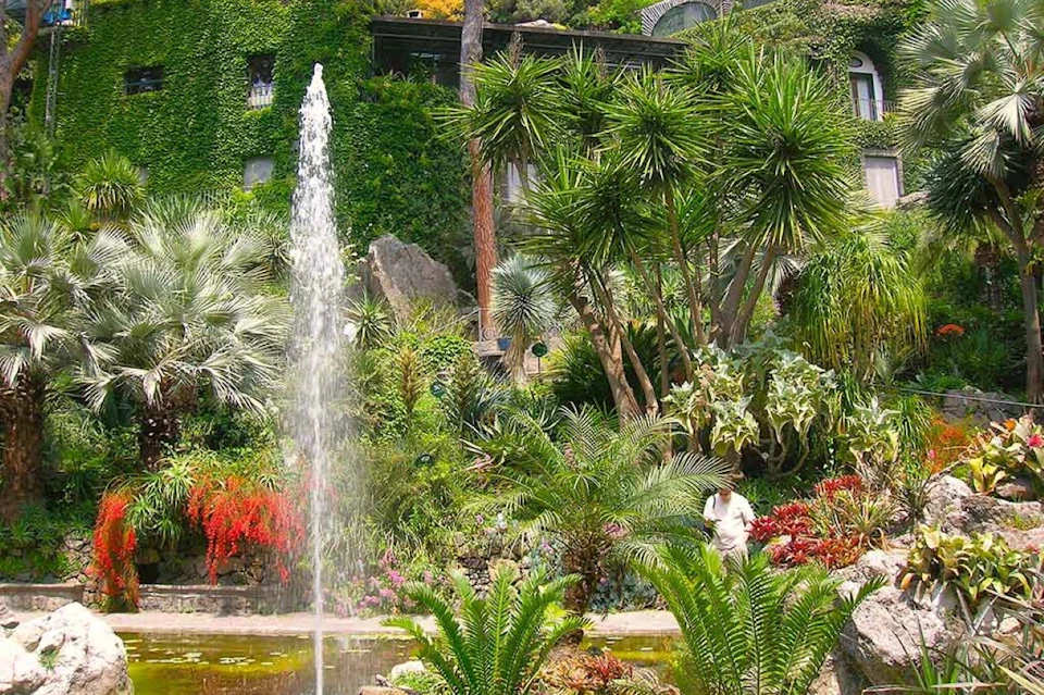 Forio gardens