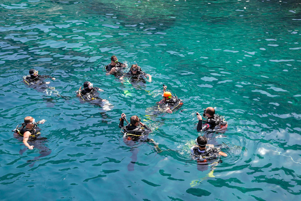 Divers with the instructors