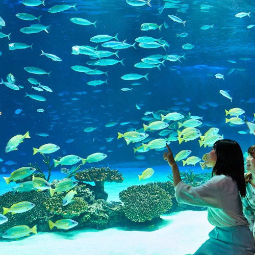 Sunshine Aquarium: Entry Ticket - Photo 2