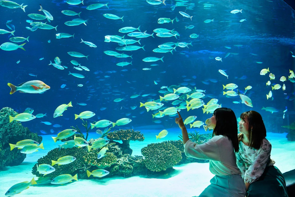 Sunshine Aquarium